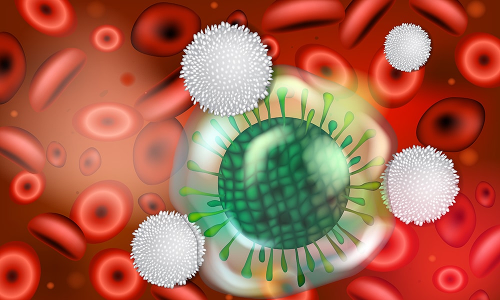Quel est le rôle des lymphocytes T4 au sein du système immunitaire ?