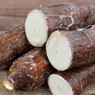 manioc pour augmenter les spermatozoïdes naturellement